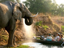 Zimbabwe-Mana Pools-Canoe Safari from Kariba to Mana Pools